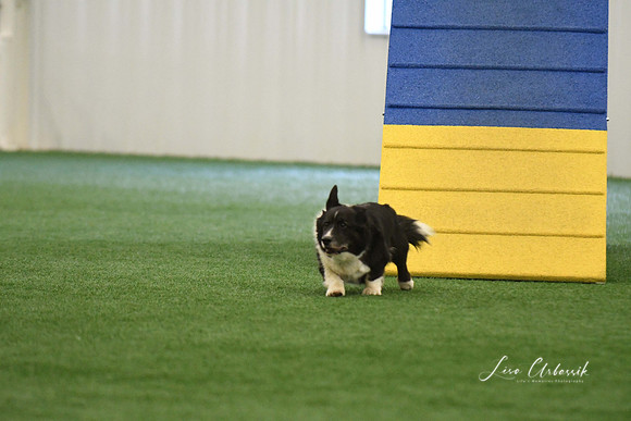 DigitalDSC_0225