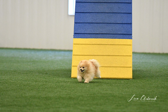 DigitalDSC_0337