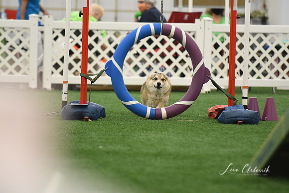 DigitalDSC_0215