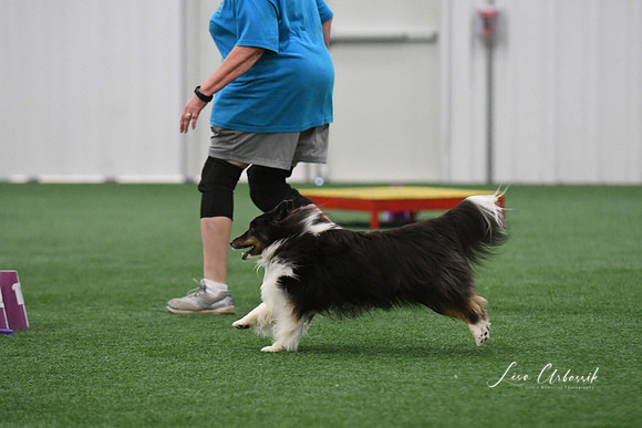 DigitalDSC_0278