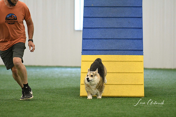 DigitalDSC_0214