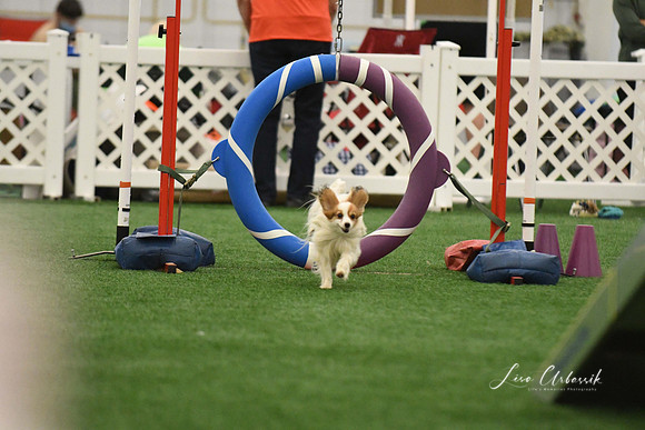 DigitalDSC_0298
