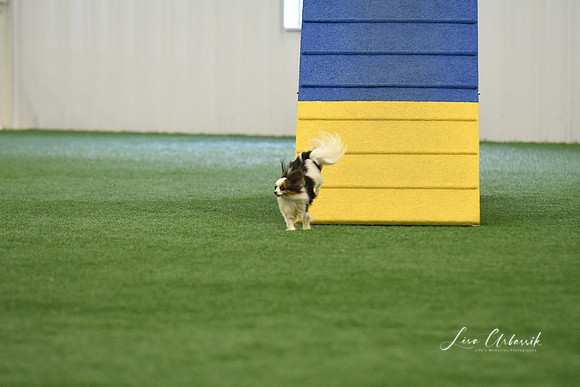 DigitalDSC_0180