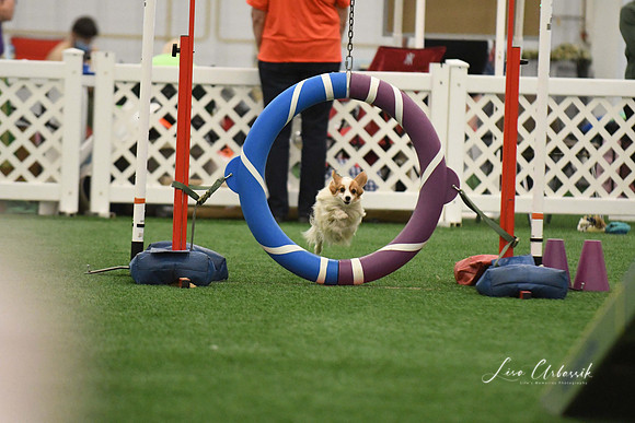 DigitalDSC_0296