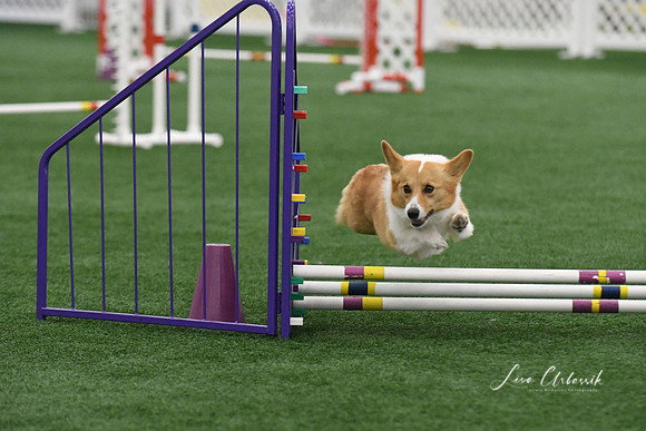 DigitalDSC_9292