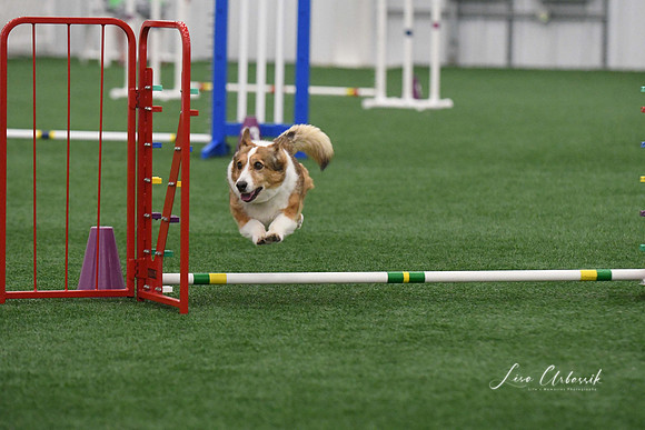 DigitalDSC_9202