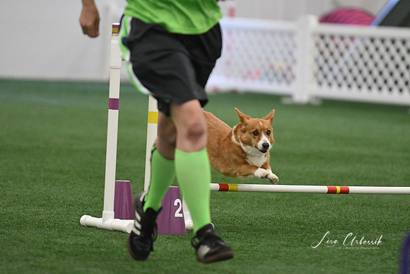 DigitalDSC_9285