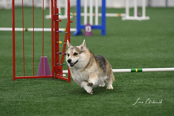 DigitalDSC_9216