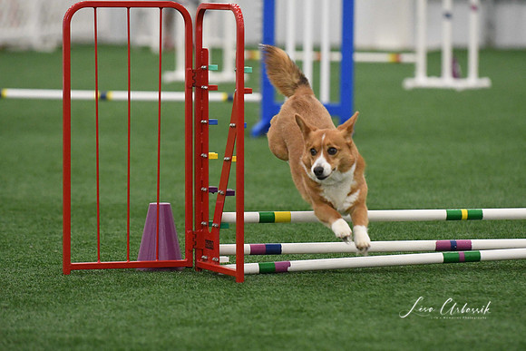 DigitalDSC_9288