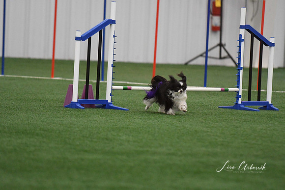 DigitalDSC_9239