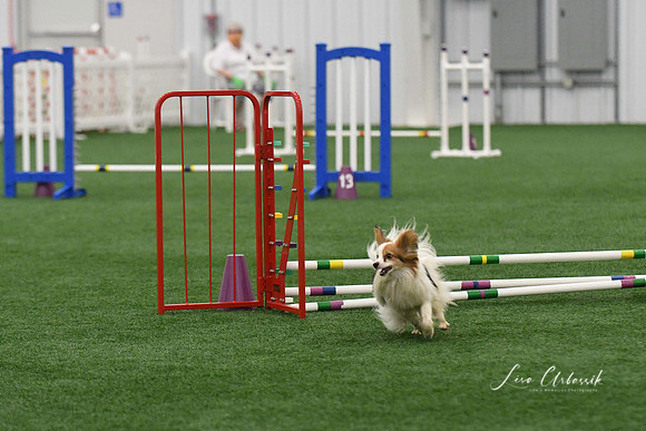 DigitalDSC_9276