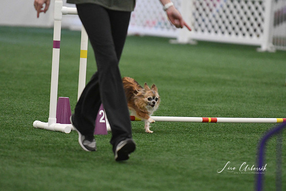 DigitalDSC_9194