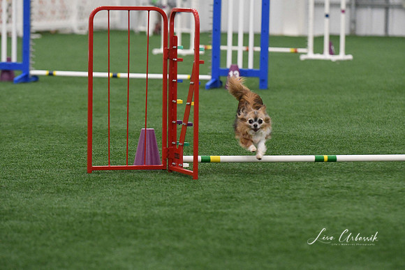 DigitalDSC_9197