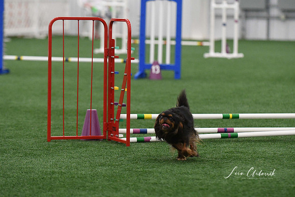 DigitalDSC_9282