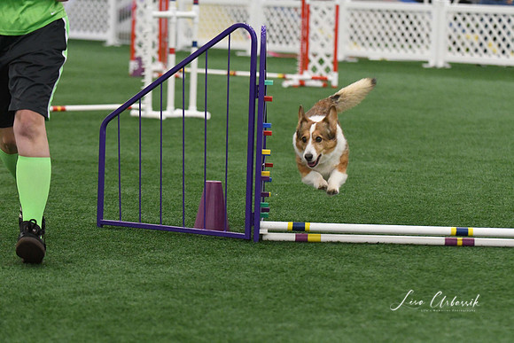 DigitalDSC_9200