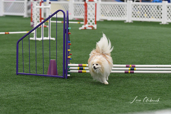 DigitalDSC_9228