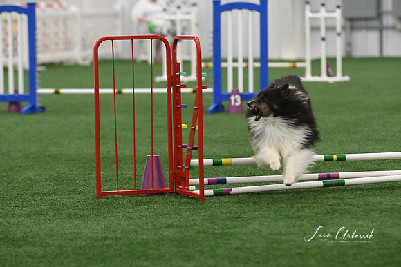 DigitalDSC_9256