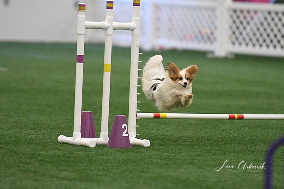 DigitalDSC_9272