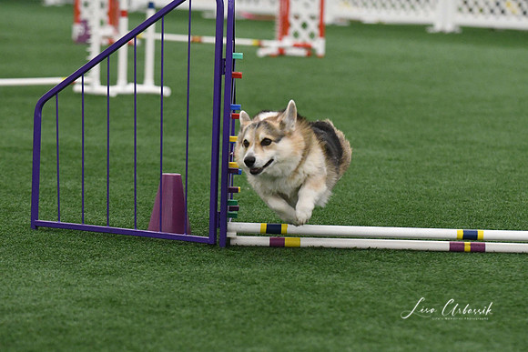 DigitalDSC_9213