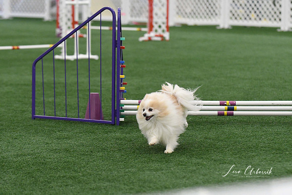 DigitalDSC_9229