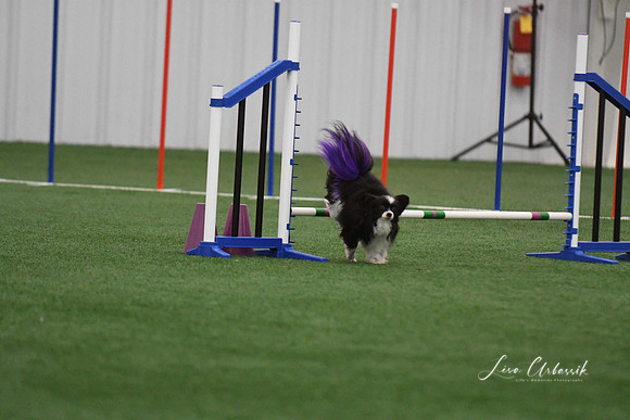 DigitalDSC_9238