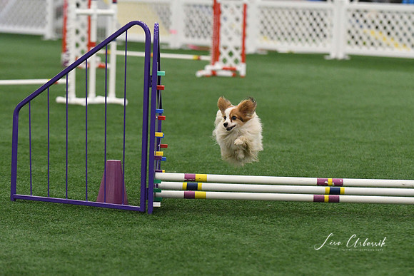 DigitalDSC_9273