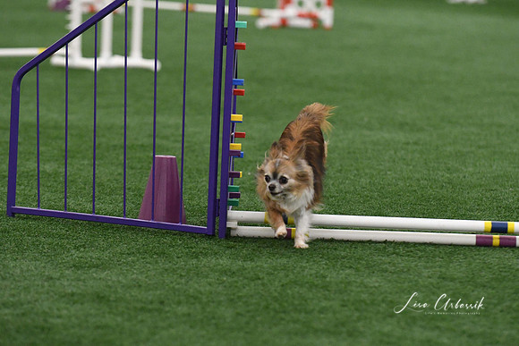 DigitalDSC_9195