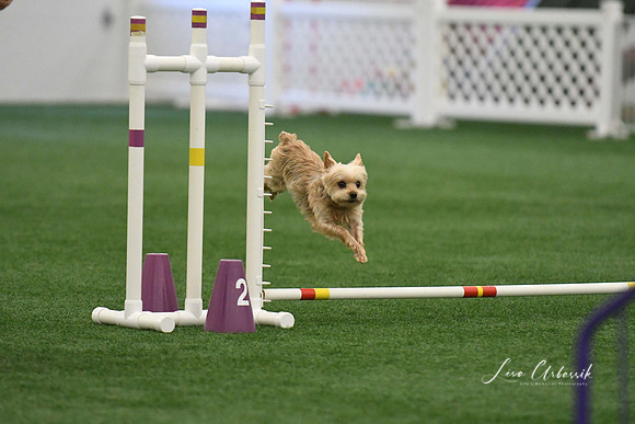 DigitalDSC_9185