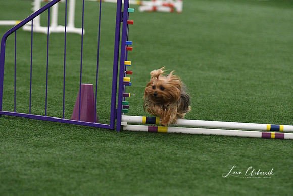 DigitalDSC_9221