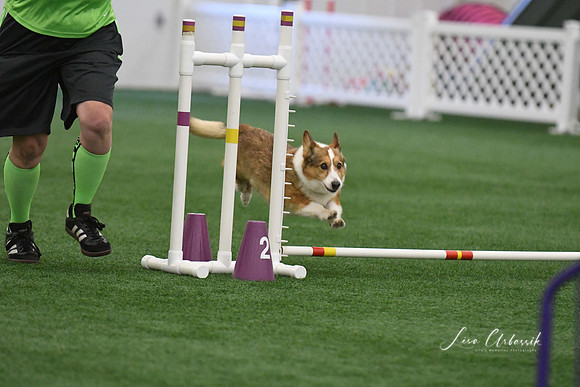 DigitalDSC_9199