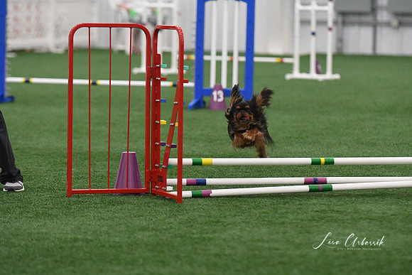 DigitalDSC_9280