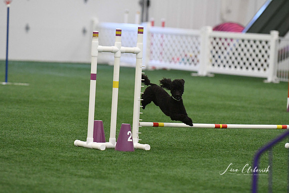 DigitalDSC_9234