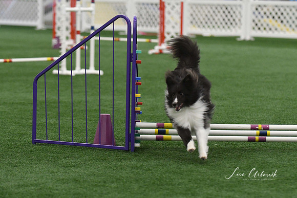 DigitalDSC_9261