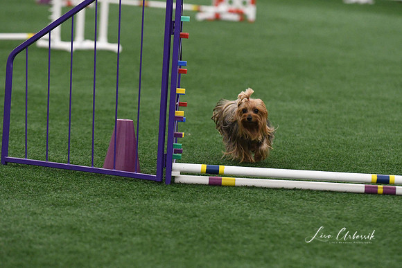 DigitalDSC_9219