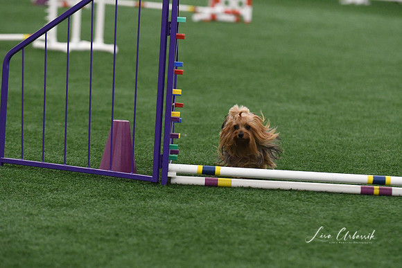 DigitalDSC_9220