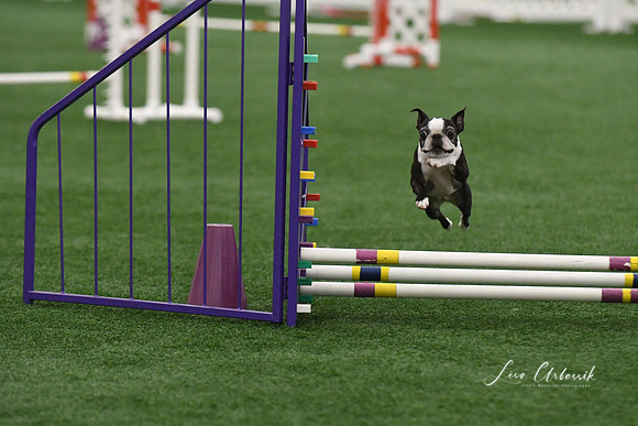 DigitalDSC_9269