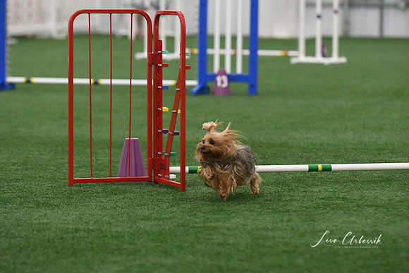 DigitalDSC_9226