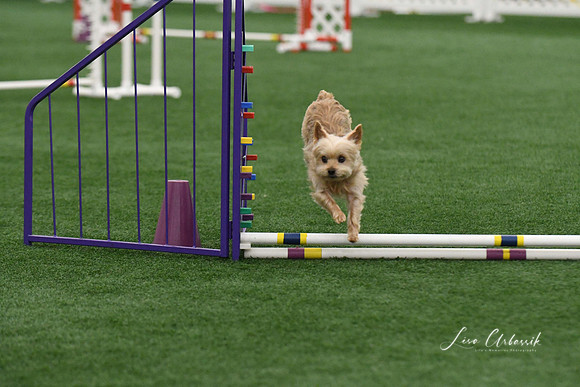 DigitalDSC_9187