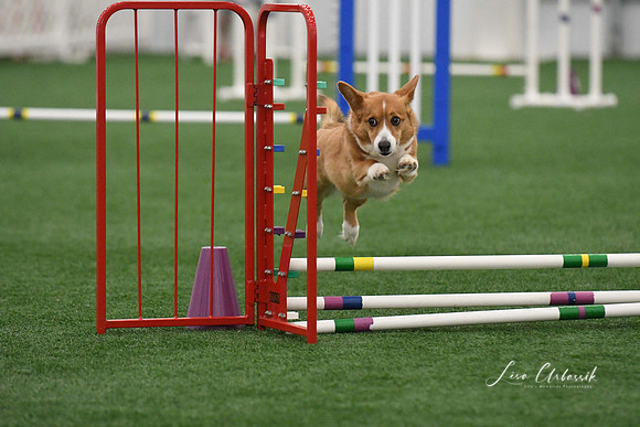 DigitalDSC_9287