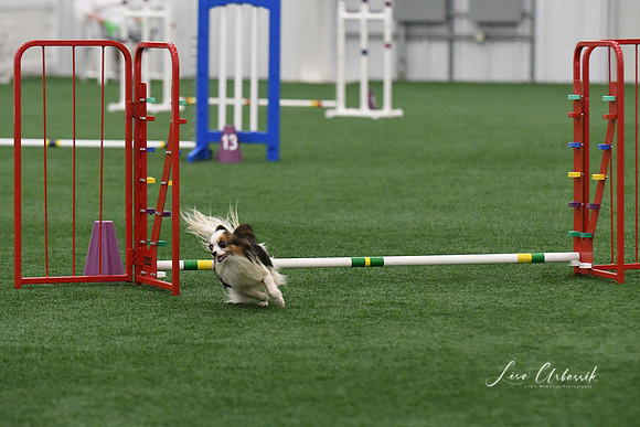 DigitalDSC_9192