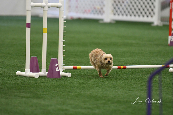 DigitalDSC_9186