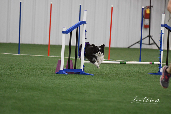 DigitalDSC_9237