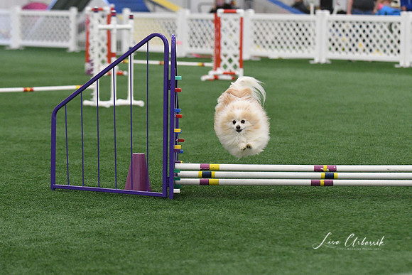 DigitalDSC_9227
