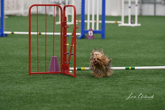DigitalDSC_9225