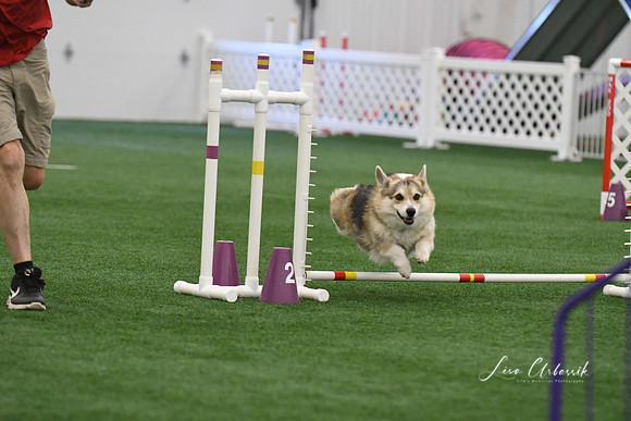 DigitalDSC_9211