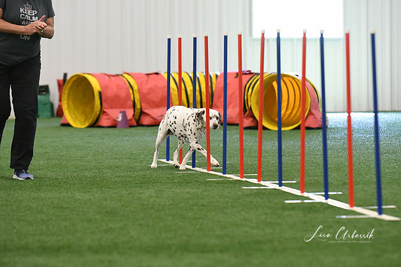 DigitalDSC_7916