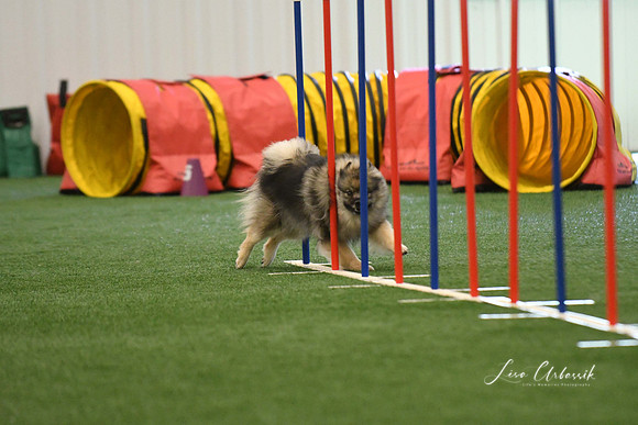 DigitalDSC_7876