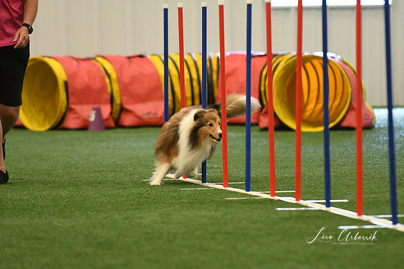 DigitalDSC_7861