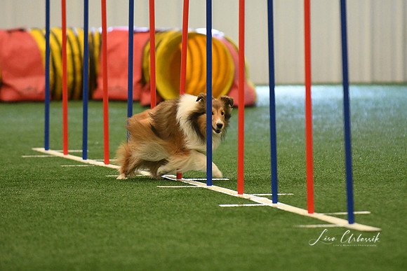 DigitalDSC_7869