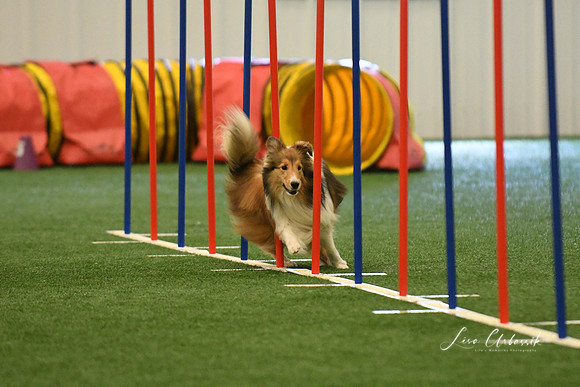 DigitalDSC_7867